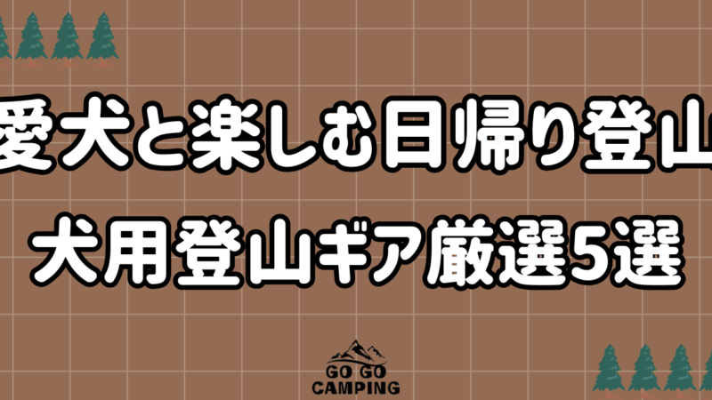 【2026年秋】愛犬と楽しむ日帰り登山｜今トレンドの犬用登山ギア厳選5選
